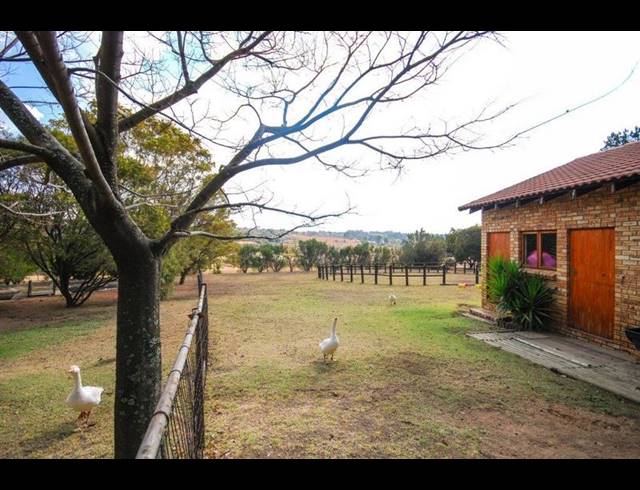 FARM FOR SALE IN NORTH RIDING